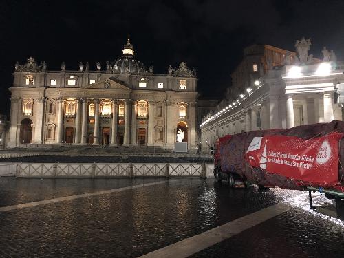 L'arrivo in piazza San Pietro dell'abete del Cansiglio destinato al Santo Padre